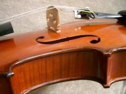 violin